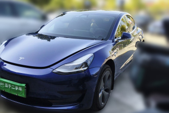 特斯拉 Model 3 2019款 标准续航后驱升级版