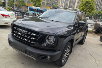 哈弗大狗 2021款 1.5T DCT两驱边牧-旺财版