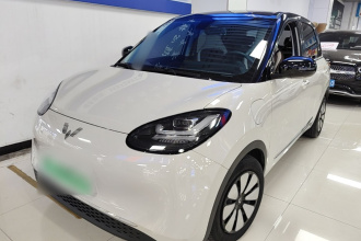 五菱汽车 五菱缤果 2023款 410km 灵犀尊享款