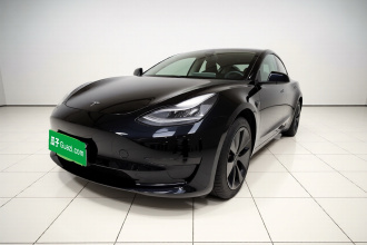 特斯拉 Model 3 2020款 标准续航后驱升级版