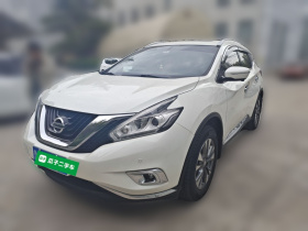 日产 楼兰 2019款 2.5L XL 两驱智联豪华版 国VI