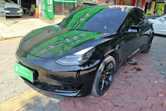 特斯拉 Model 3 2021款 标准续航后驱升级版 3D6