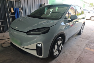 ARCFOX极狐 极狐考拉S 2024款 AIR