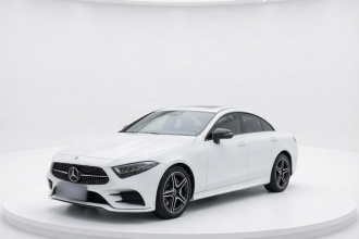 奔驰CLS 2020款 CLS 300 动感型