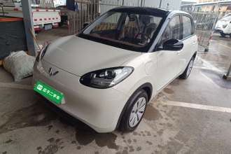 五菱汽车 五菱缤果 2025款 203km 轻享款