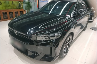 岚图汽车 岚图FREE 2025款 318 318km 后驱环游版