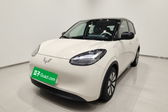 五菱汽车 五菱缤果 2024款 333km 悦享款