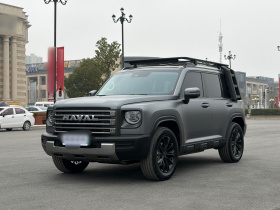 哈弗猛龙新能源 2024款 Hi4 102 Pro