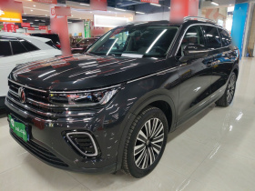 大众 揽巡 2023款 330TSI 豪华巡逸版