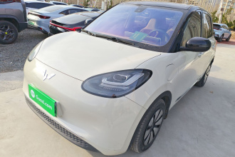 五菱汽车 五菱缤果 2023款 333km 灵犀互联+款