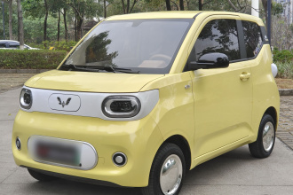 五菱汽车 宏光MINIEV 2024款 第三代 215km 青春版