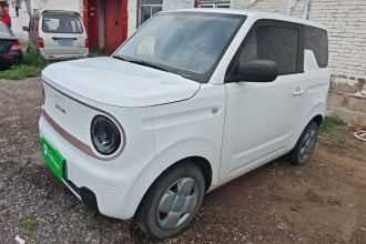 吉利银河 2023款 熊猫mini 120km 超萌熊