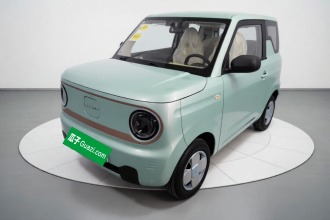 吉利银河 2024款 熊猫mini 200km 耐力熊