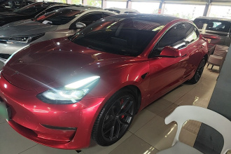 特斯拉 Model 3 2021款 Performance高性能全轮驱动版 3D6