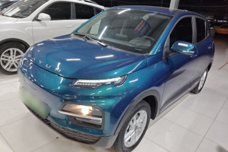 大运 悦虎 2023款 300 标准版