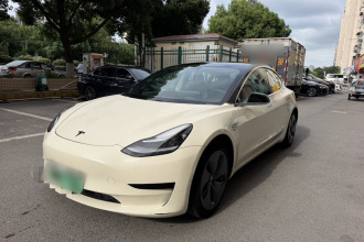 特斯拉 Model 3 2020款 改款 标准续航后驱升级版
