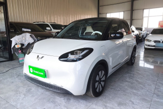 五菱汽车 五菱缤果 2024款 333km 悦享款