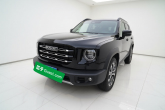 哈弗大狗 2022款 1.5T DCT两驱边牧版
