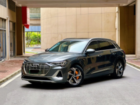 奥迪e-tron 2021款 50 quattro 臻选型
