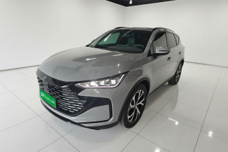 比亚迪 唐新能源 2025款 DM-i 115KM 尊荣型