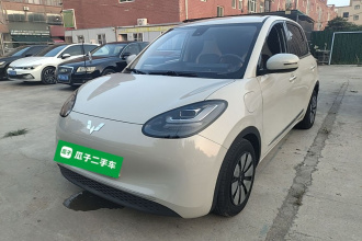 五菱汽车 五菱缤果 2023款 333km 悦享+款