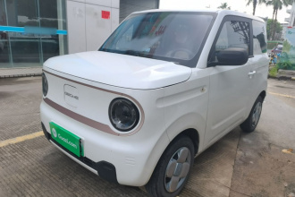吉利银河 2023款 熊猫mini 200km 耐力熊