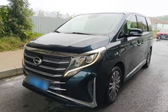 广汽传祺 传祺M8 2021款 领秀系列 390T 尊贵版