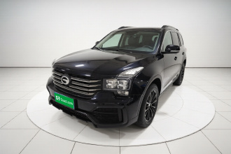 广汽传祺 传祺GS8 2021款 390T 两驱暗夜骑士版