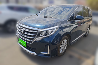 广汽传祺 传祺M8 2020款 领航款 390T 尊享版