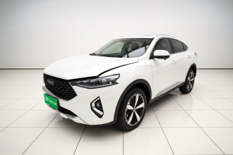 哈弗F7x 2019款 1.5T 两驱极智潮玩版