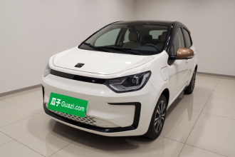 思皓 2022款 花仙子款 四叶草