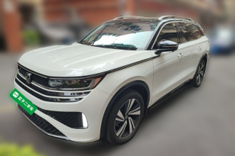 大众 揽巡 2024款 380TSI 四驱R-Line巡游版