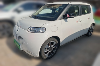 欧拉白猫 2020款 401km 旗舰型