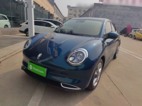 欧拉好猫 2023款 401km标准续航 尊荣型 磷酸铁锂