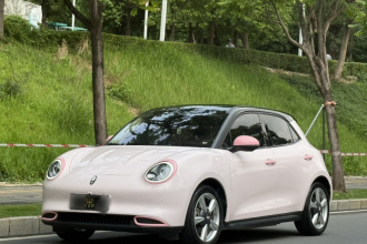 欧拉好猫 2022款 400km标准续航 尊贵型 磷酸铁锂