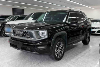 哈弗大狗 PLUS 2023款 2.0T 两驱潮野版Plus