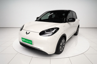 五菱汽车 五菱缤果 2023款 333km 悦享款