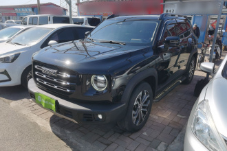 哈弗大狗 2021款 1.5T DCT两驱边牧版