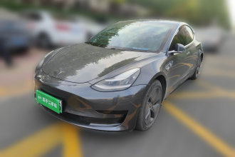 特斯拉 Model 3 2020款 改款 标准续航后驱升级版