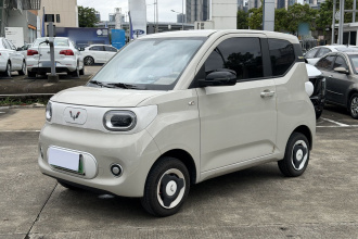 五菱汽车 宏光MINIEV 2024款 第三代 215km 青春版