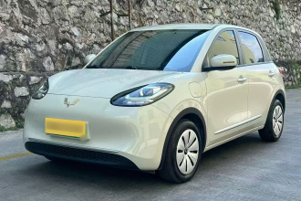 五菱汽车 五菱缤果 2025款 203km 轻享款