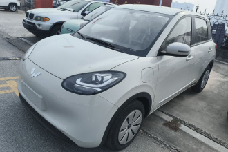 五菱汽车 五菱缤果 2024款 203km 轻享款