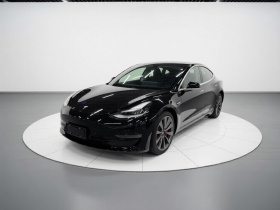 特斯拉 Model 3(进口) 2019款 长续航全轮驱动版
