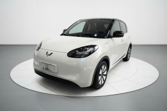五菱汽车 五菱缤果 2024款 333km 灵犀互联款