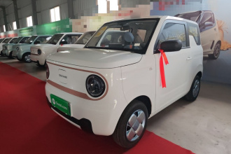 吉利银河 2024款 熊猫mini 200km 耐力熊