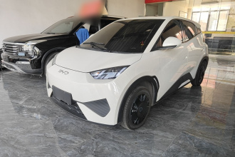 比亚迪 海鸥 2025款 智驾版 305km 活力版