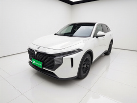 启辰大V 2021款 260T 爱豆版