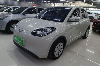 五菱汽车 五菱缤果 2023款 203km 轻享款