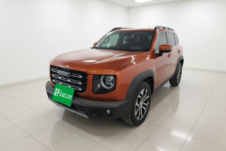 哈弗大狗 2021款 1.5T DCT两驱边牧版