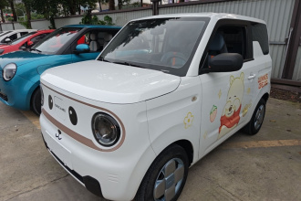 吉利银河 2023款 熊猫mini 200km 耐力熊